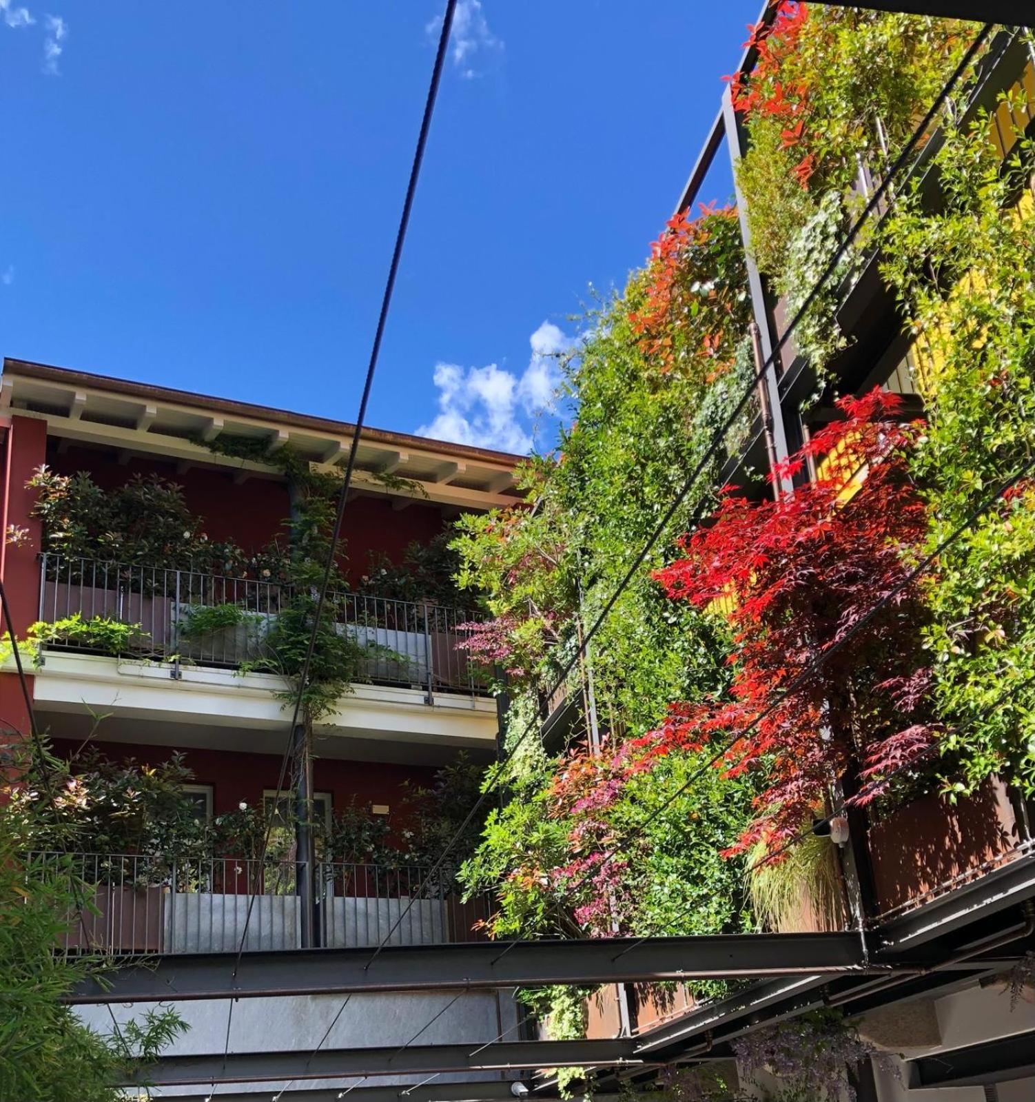 Residence Casa Coppa Appartamento Iris Omegna Ngoại thất bức ảnh